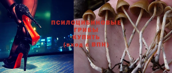 дживик Ладушкин