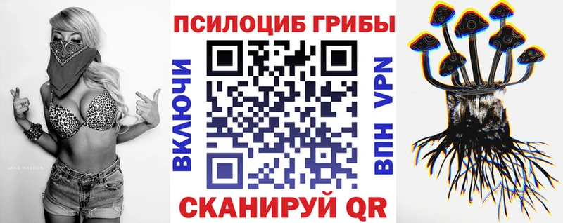 Галлюциногенные грибы MAGIC MUSHROOMS  Купить где  Зеленоградск 