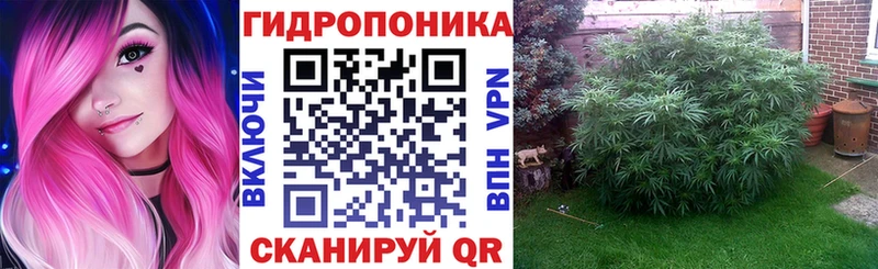 Купить  Зеленоградск  Марихуана AK-47 